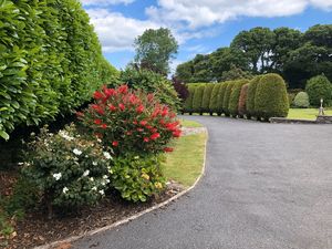 Photo 3- click for photo gallery